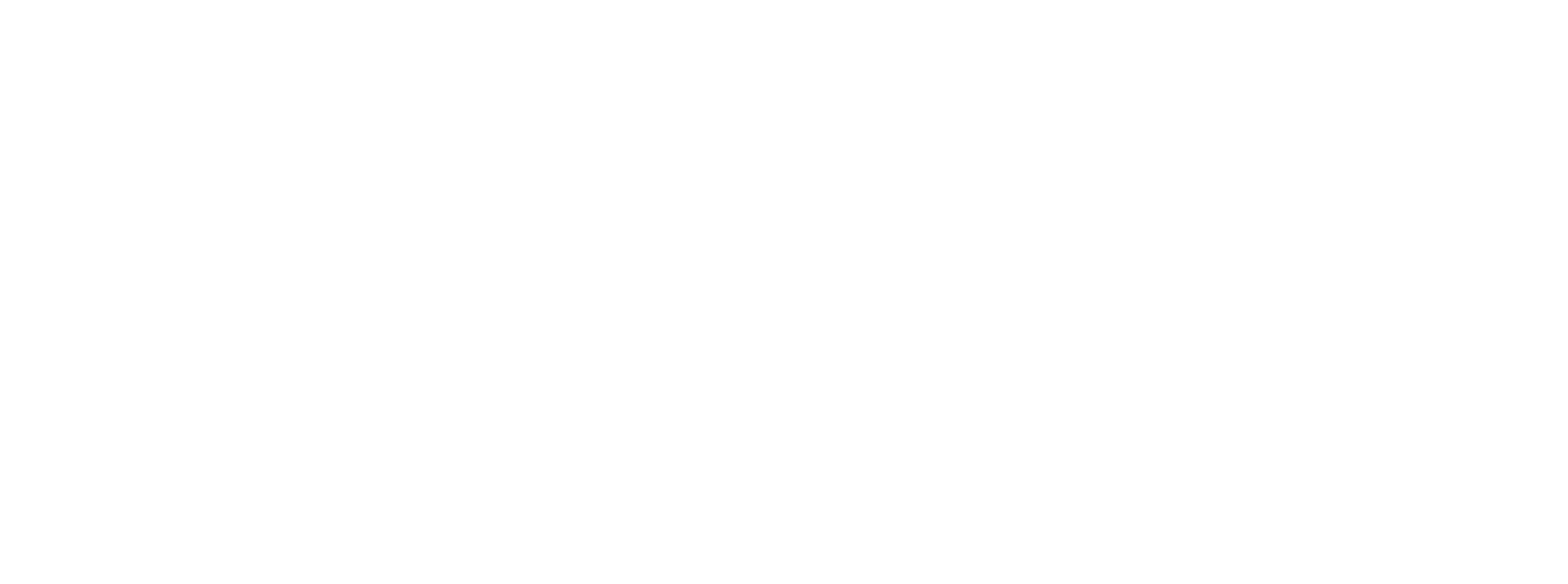 Web Developer White Logo