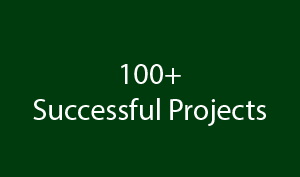 Successful Web projects