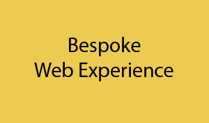 bespoke web experience